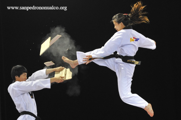 4 Teknik - Teknik Dasar Dalam Seni Bela Diri Taekwondo